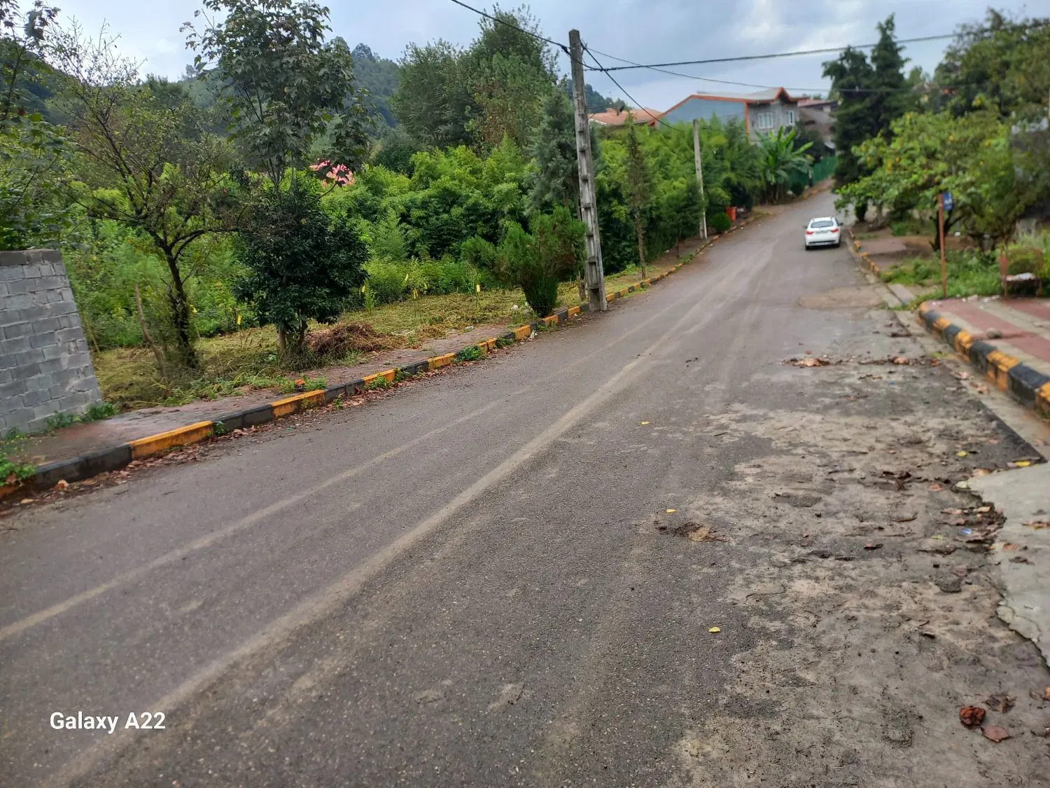تصویر املاک 55954