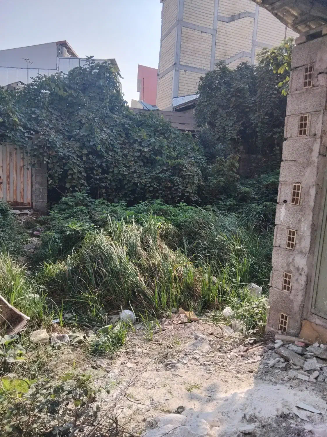 تصویر املاک 12312