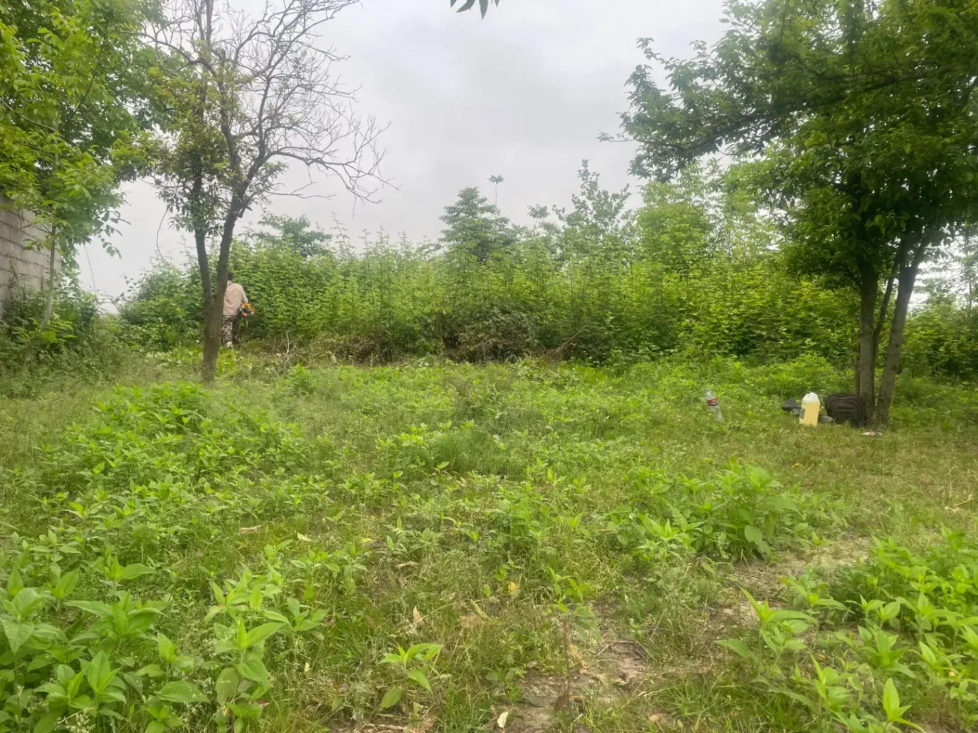 تصویر املاک 5542