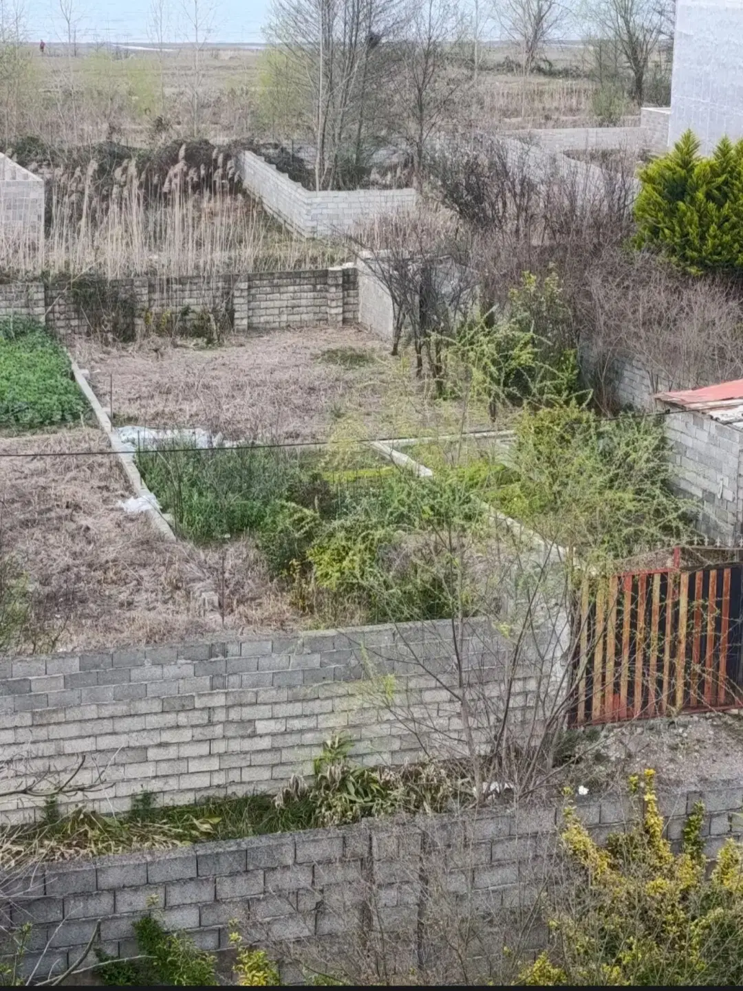 تصویر املاک 122494