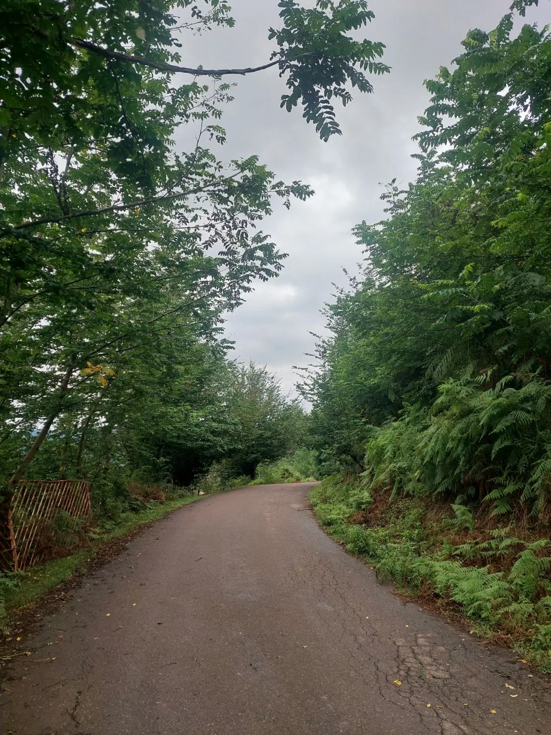 تصویر املاک 120288