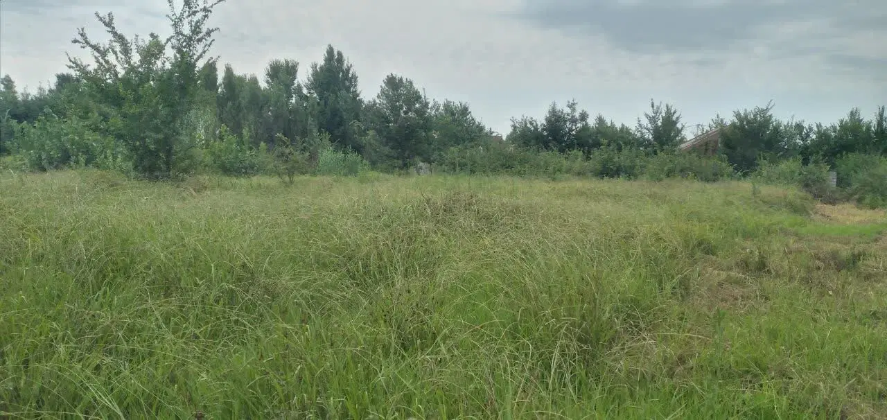 تصویر املاک 133849