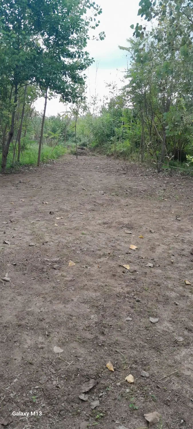 تصویر املاک 133572