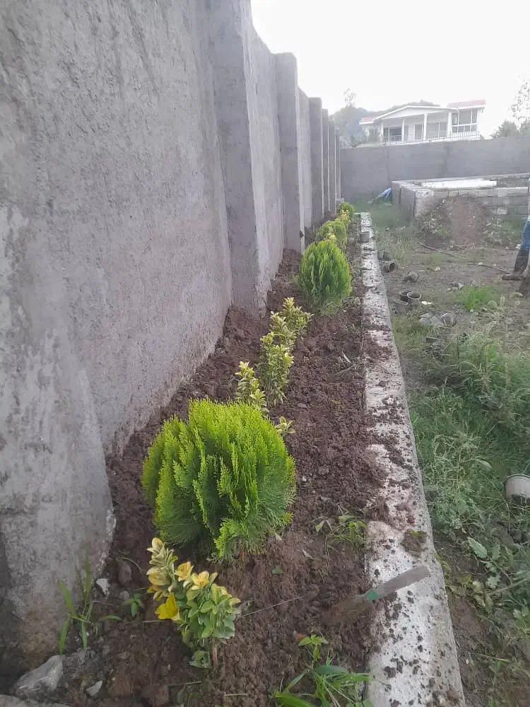 تصویر املاک 22946