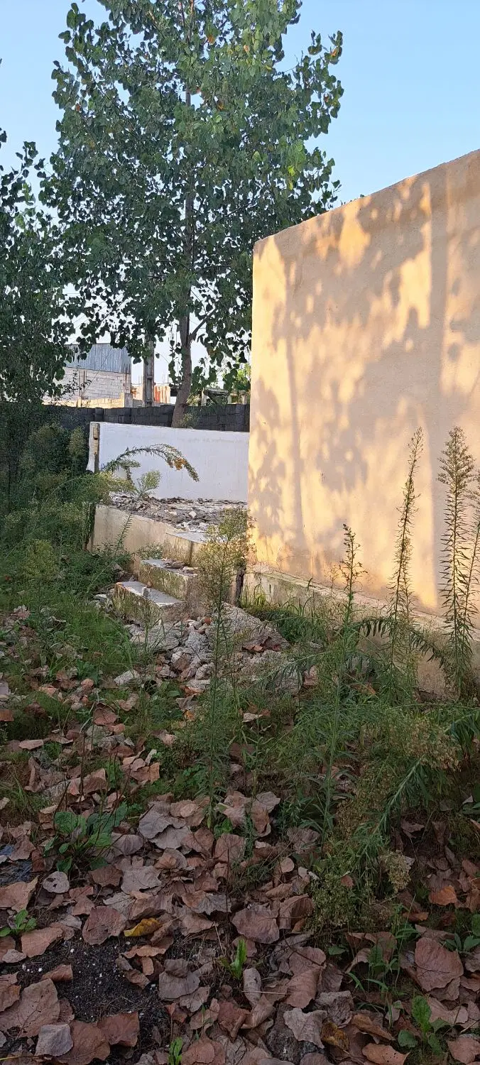 تصویر املاک 118155