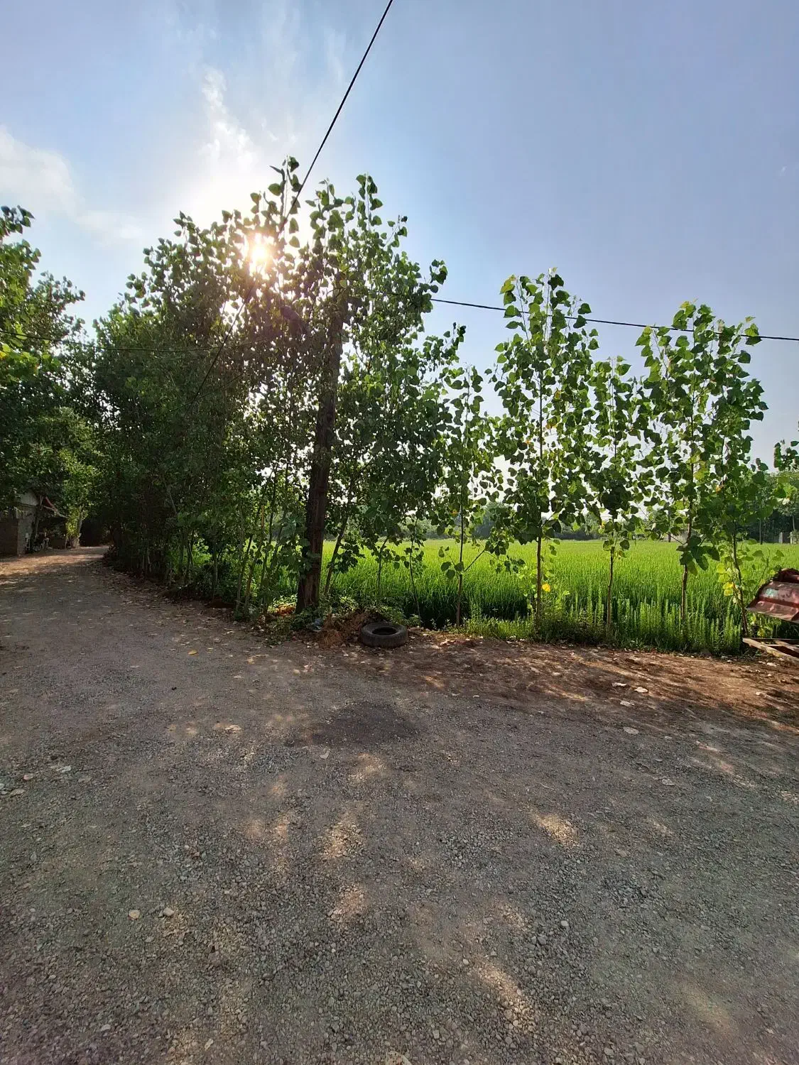 تصویر املاک 35628