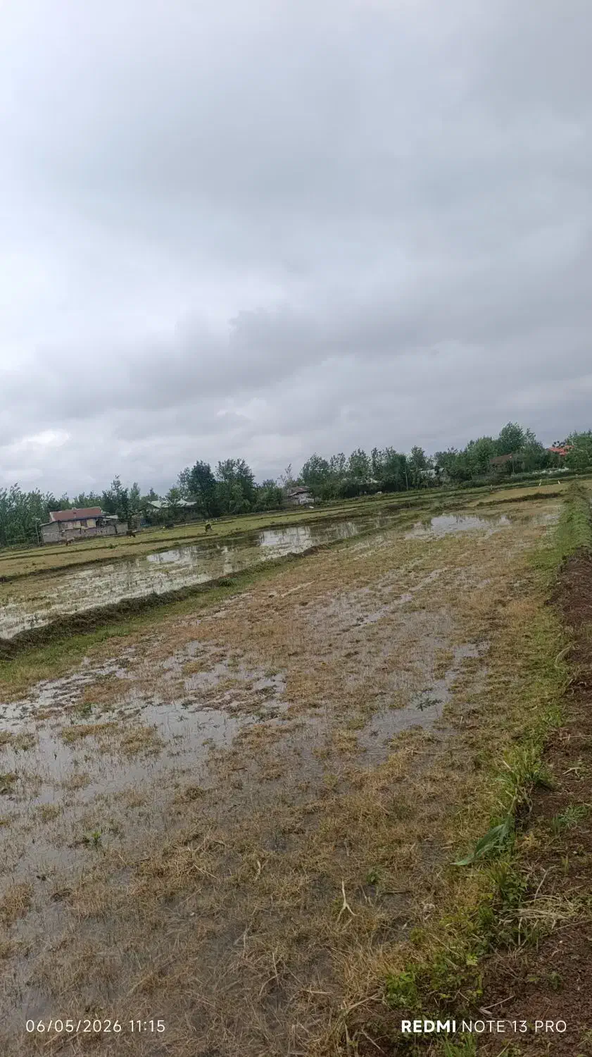 تصویر املاک 39148