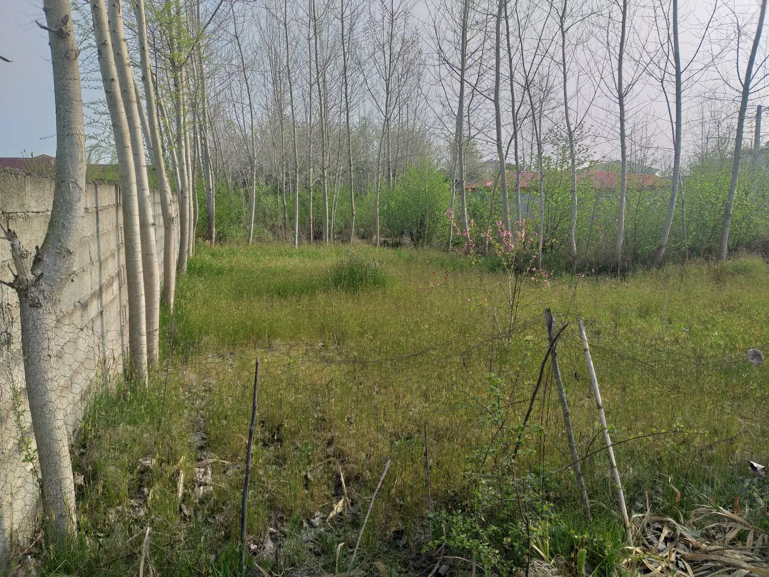 تصویر املاک 134839