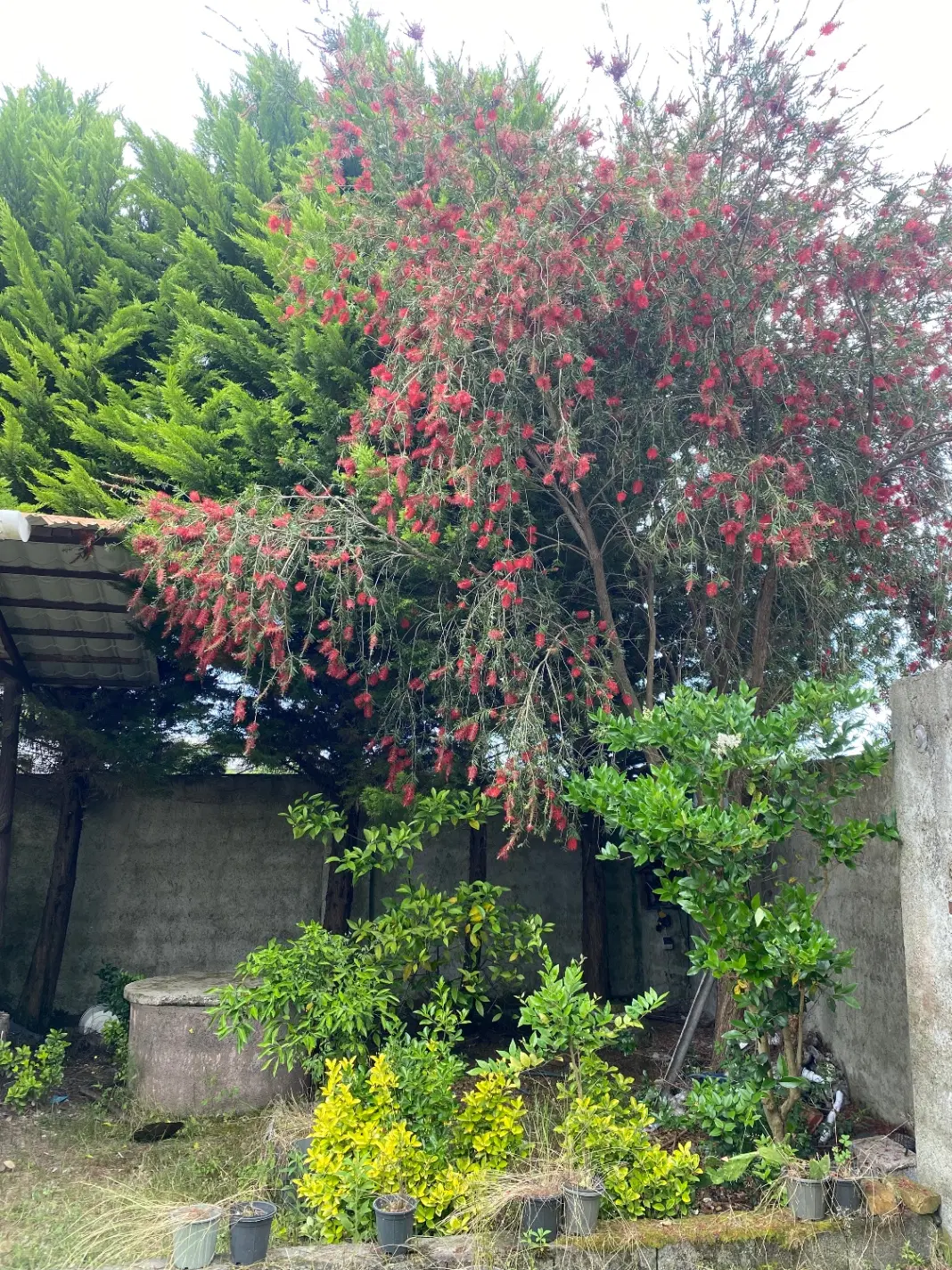 تصویر املاک 138993