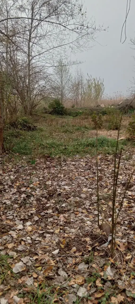 تصویر املاک 56469