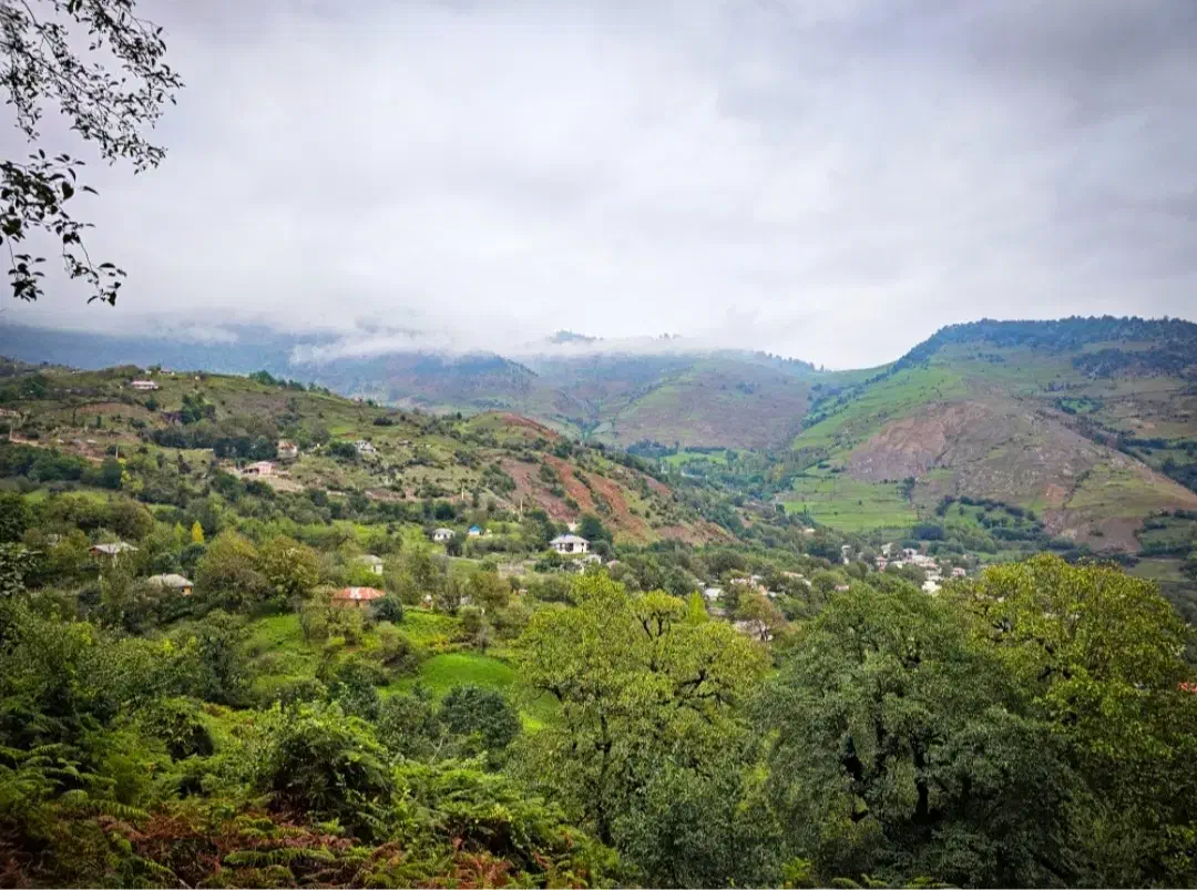 تصویر املاک 38368