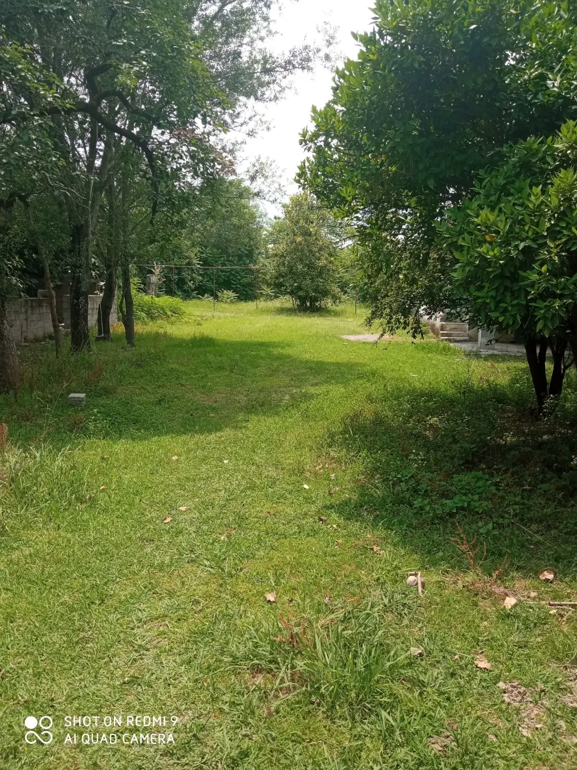 تصویر املاک 133392
