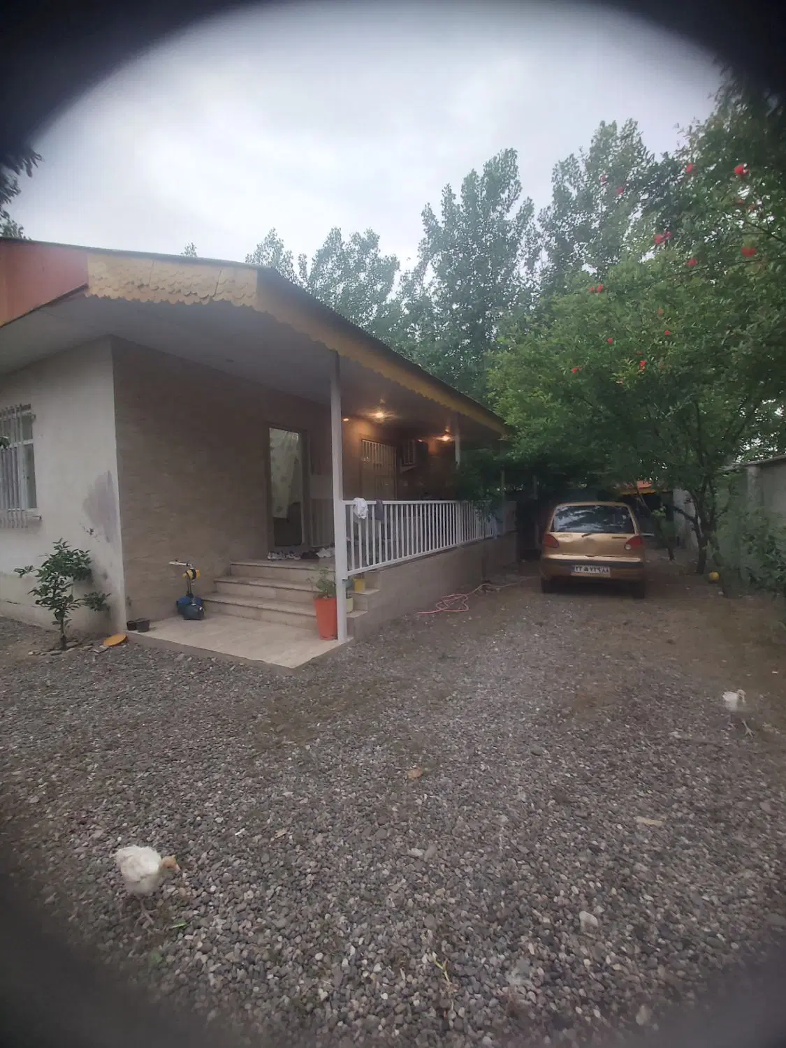تصویر املاک 45131