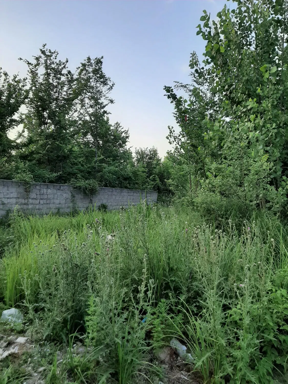 تصویر املاک 116818