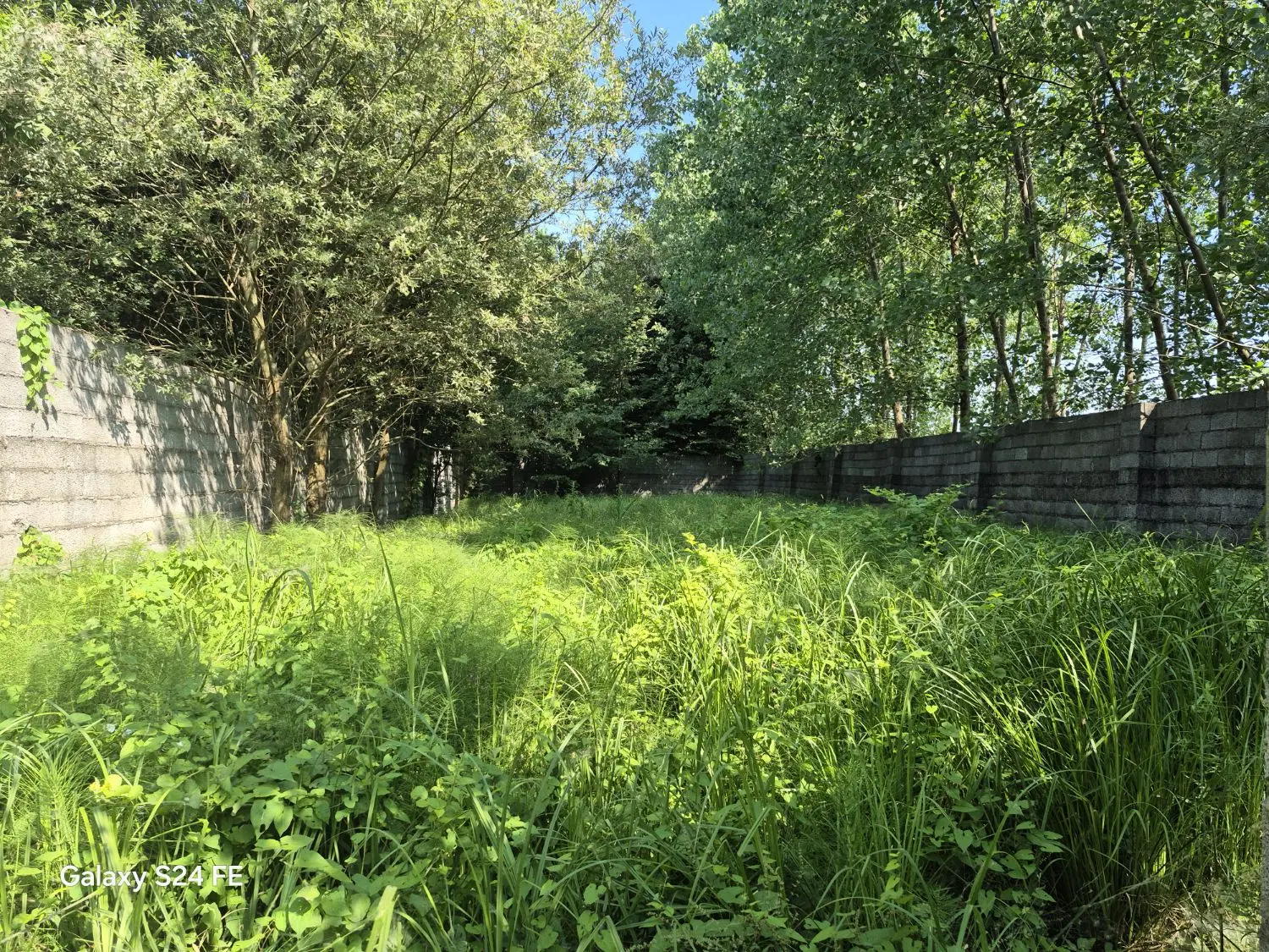تصویر املاک 44745