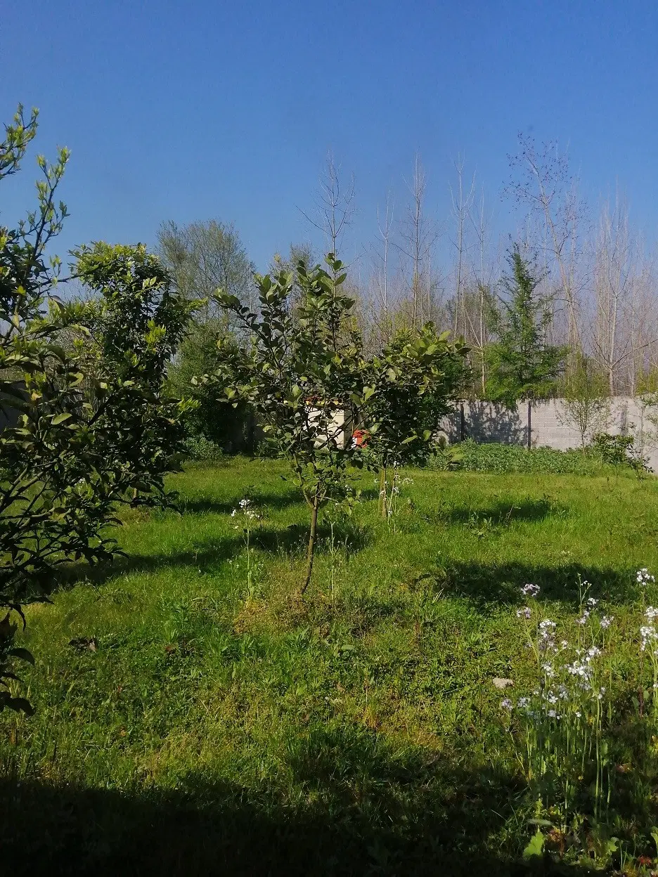 تصویر املاک 123205