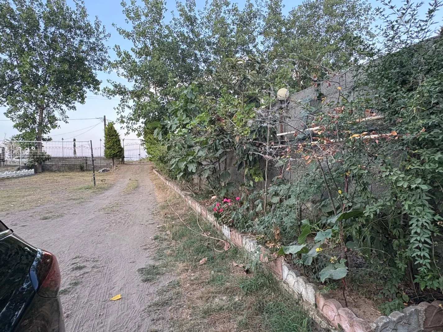 تصویر املاک 47997