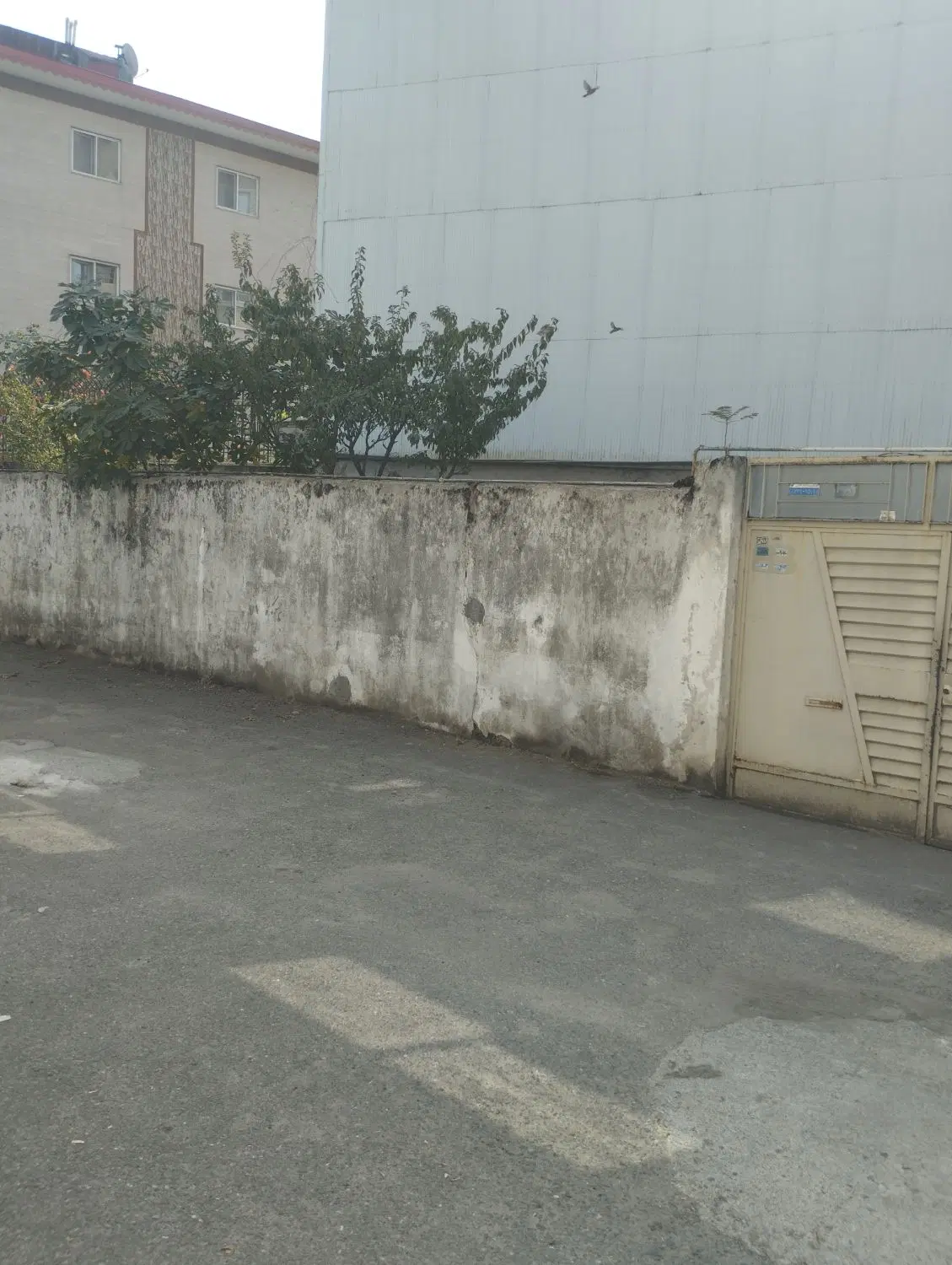 تصویر املاک 131232