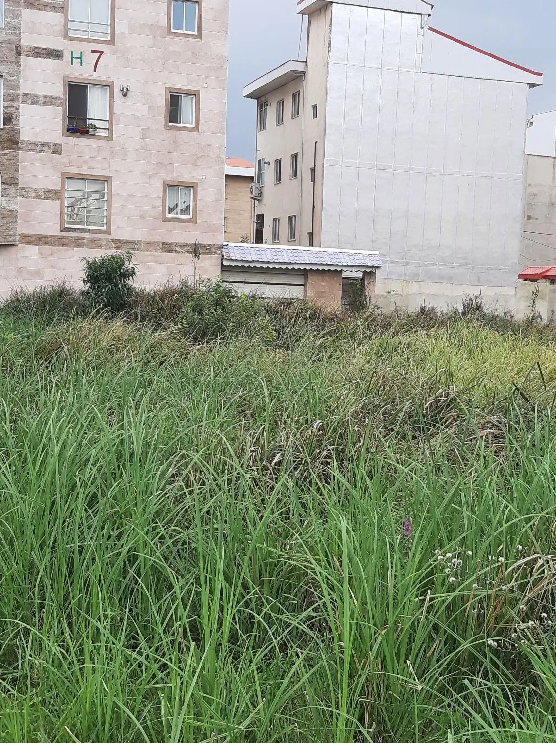 تصویر املاک 143797