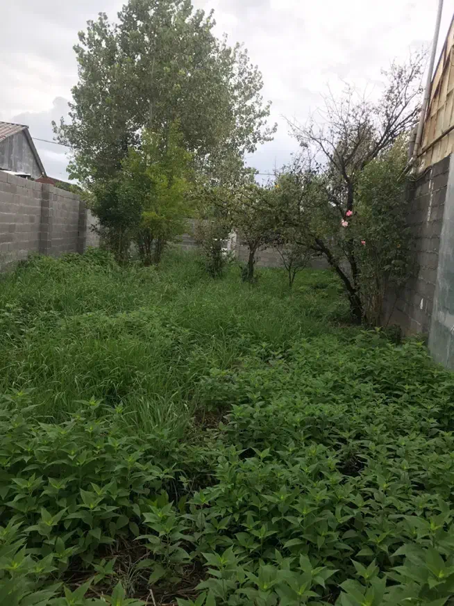 تصویر املاک 39119