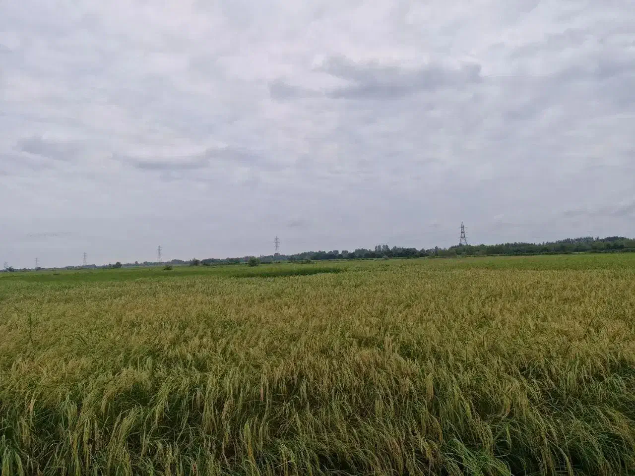 تصویر املاک 41561