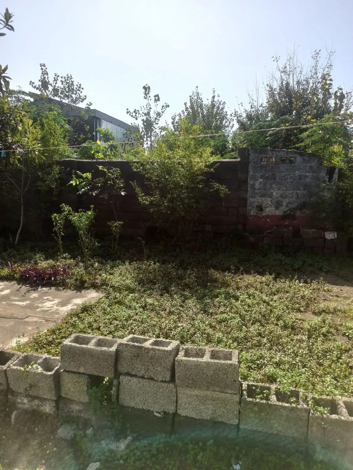 تصویر املاک 37238