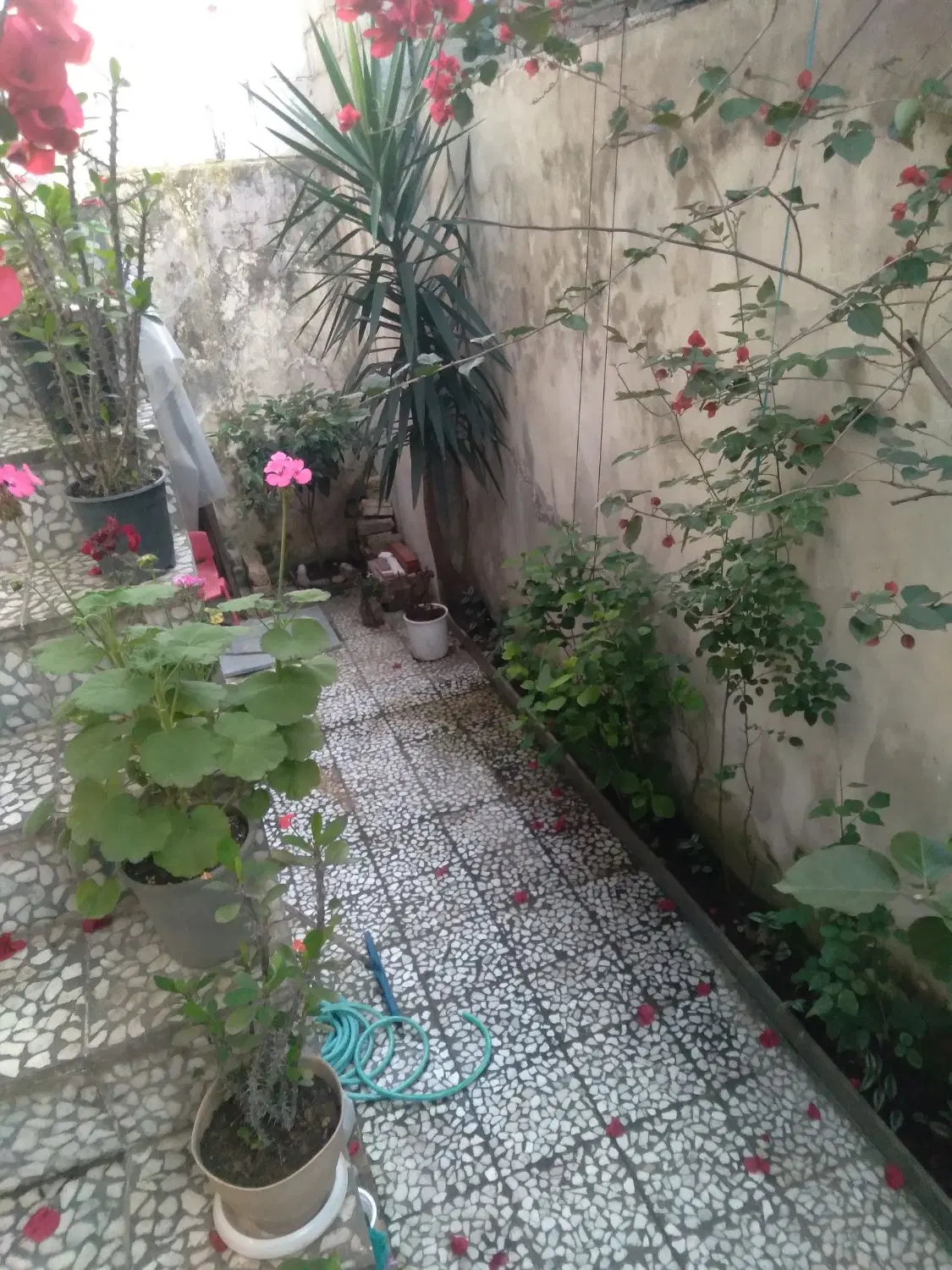 تصویر املاک 73762
