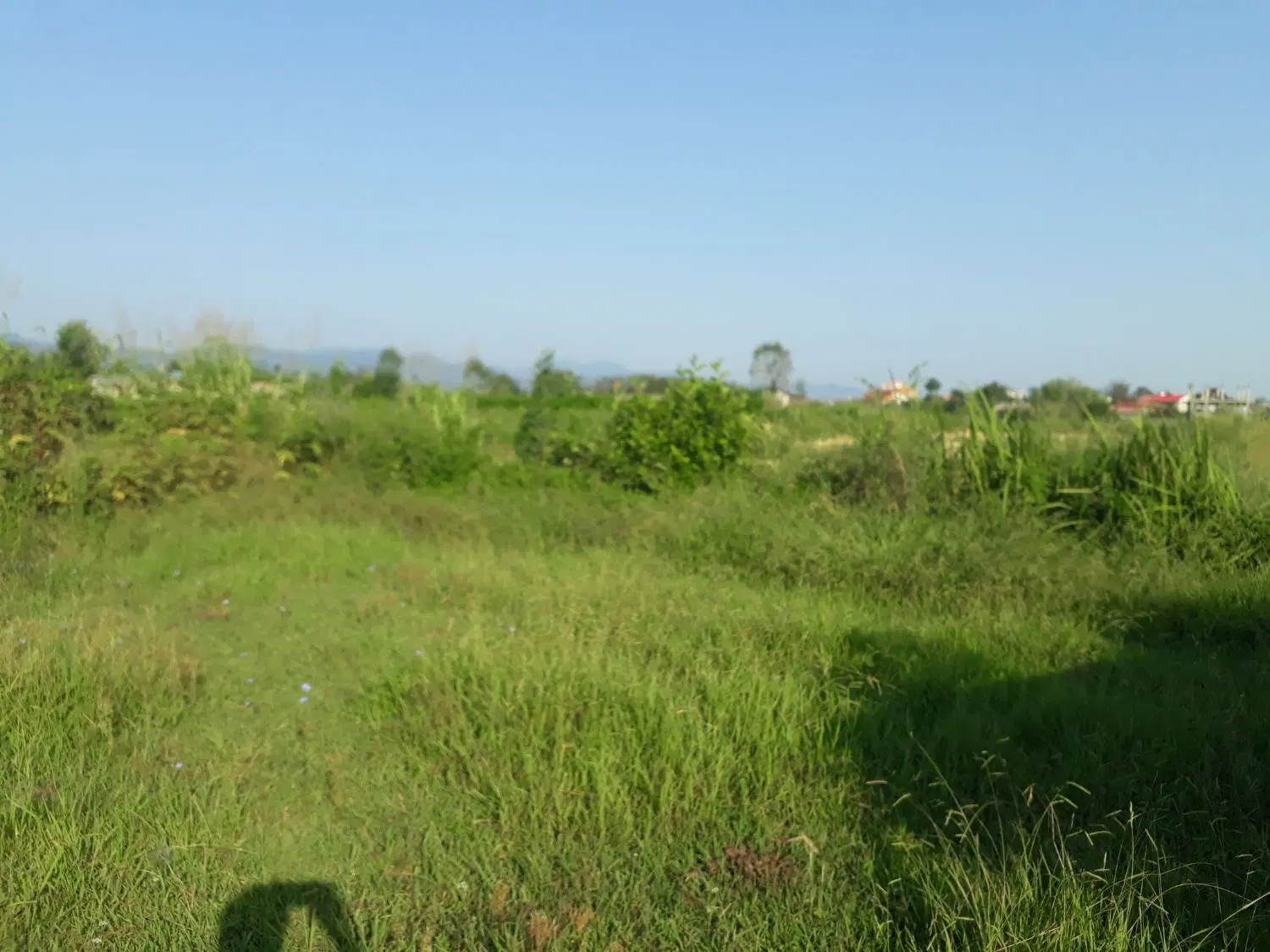 تصویر املاک 44447