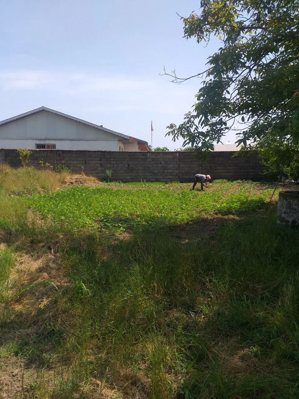تصویر املاک 75886