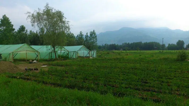 تصویر املاک 91630