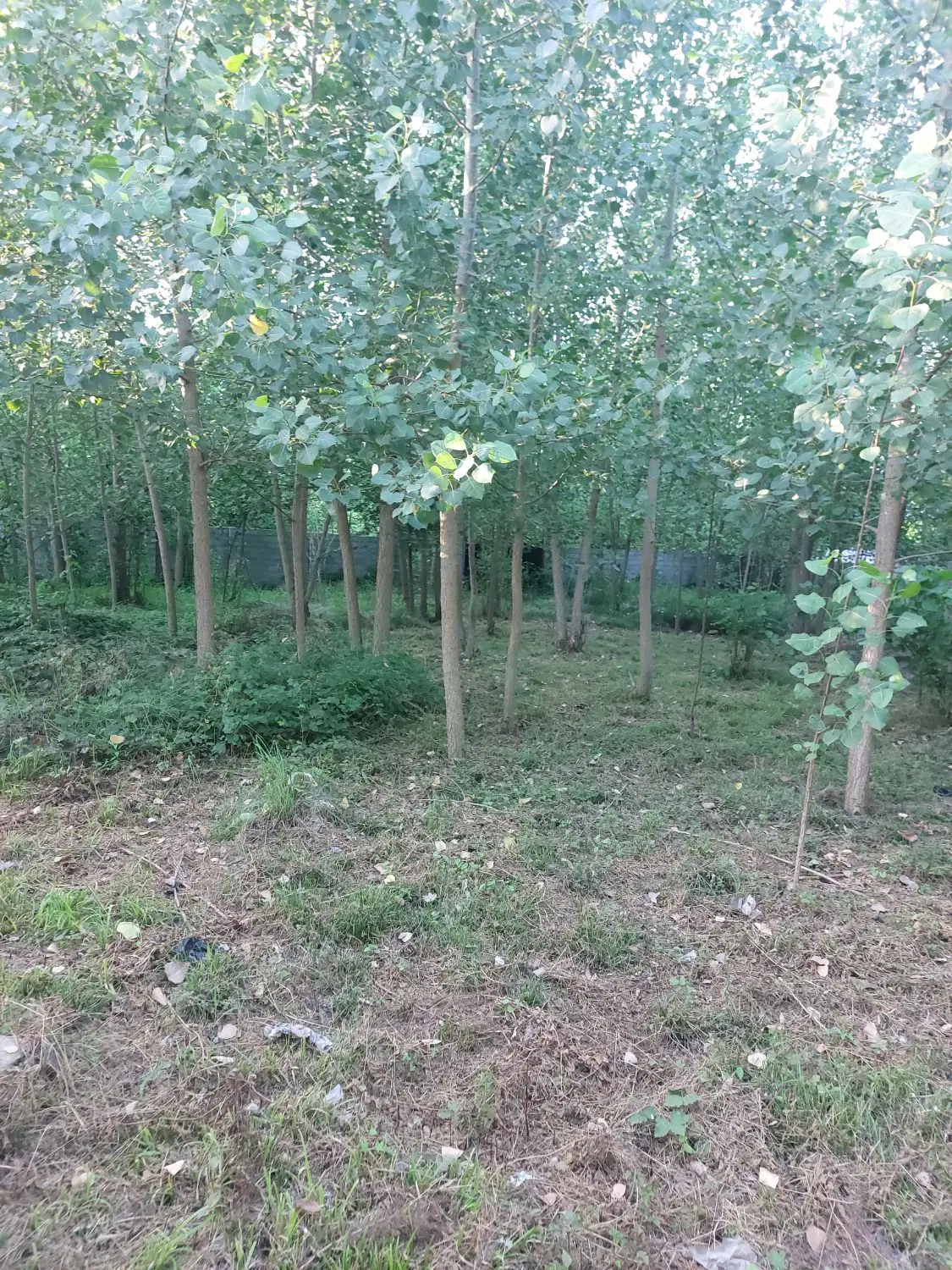 تصویر املاک 68550