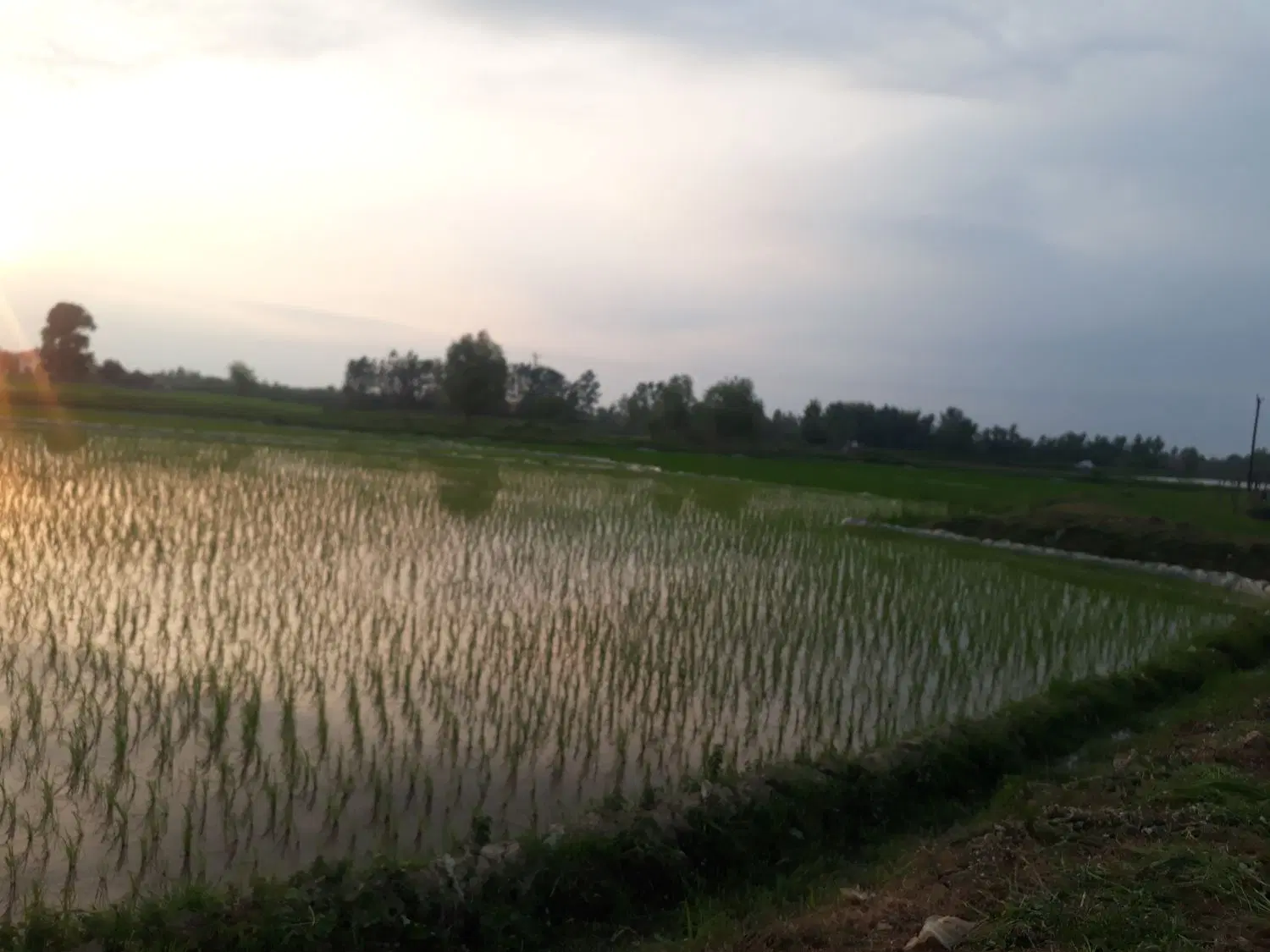 تصویر املاک 89276
