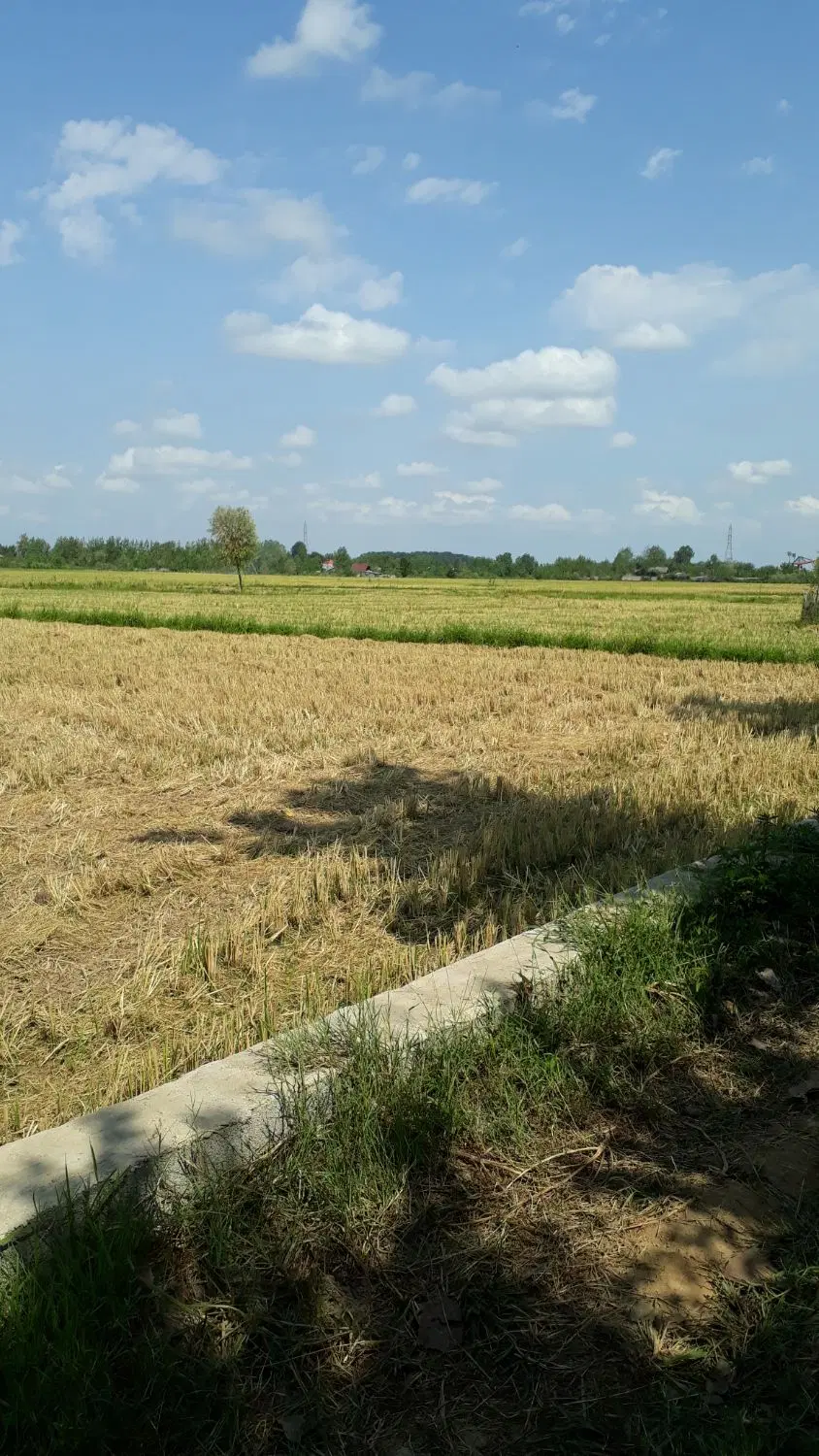 تصویر املاک 121398