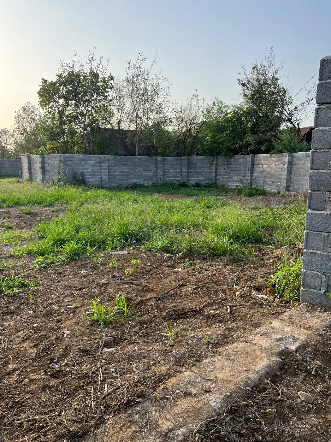 تصویر املاک 117231