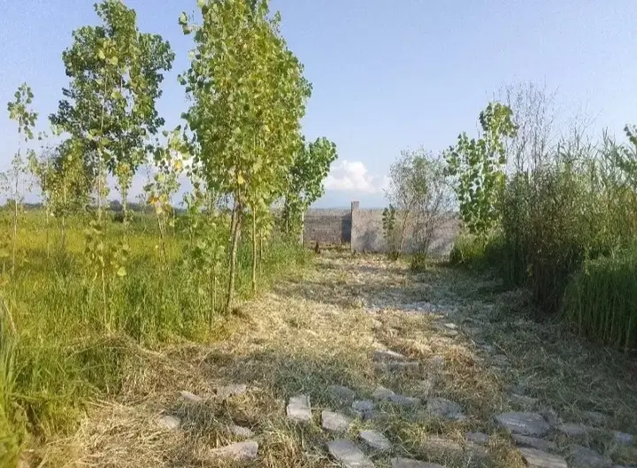 تصویر املاک 88811