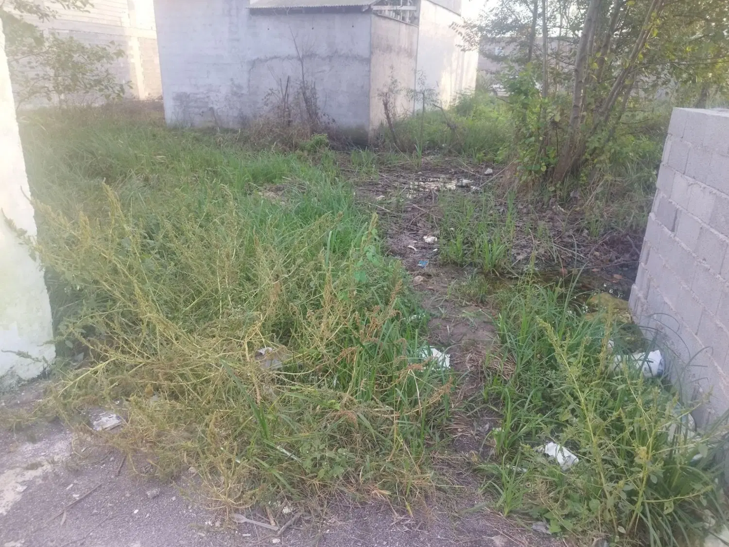 تصویر املاک 63071