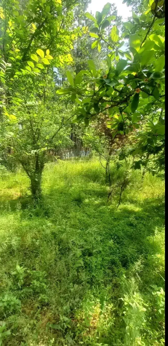 تصویر املاک 38067
