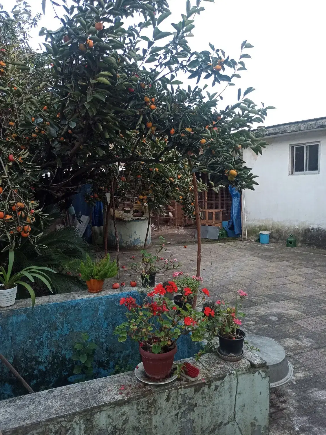تصویر املاک 76494