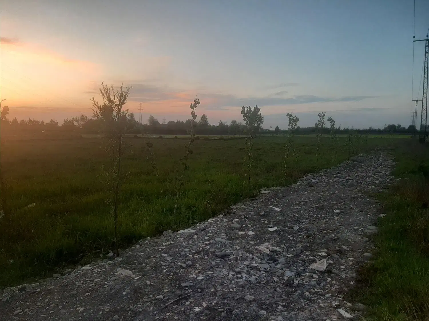 تصویر املاک 82648