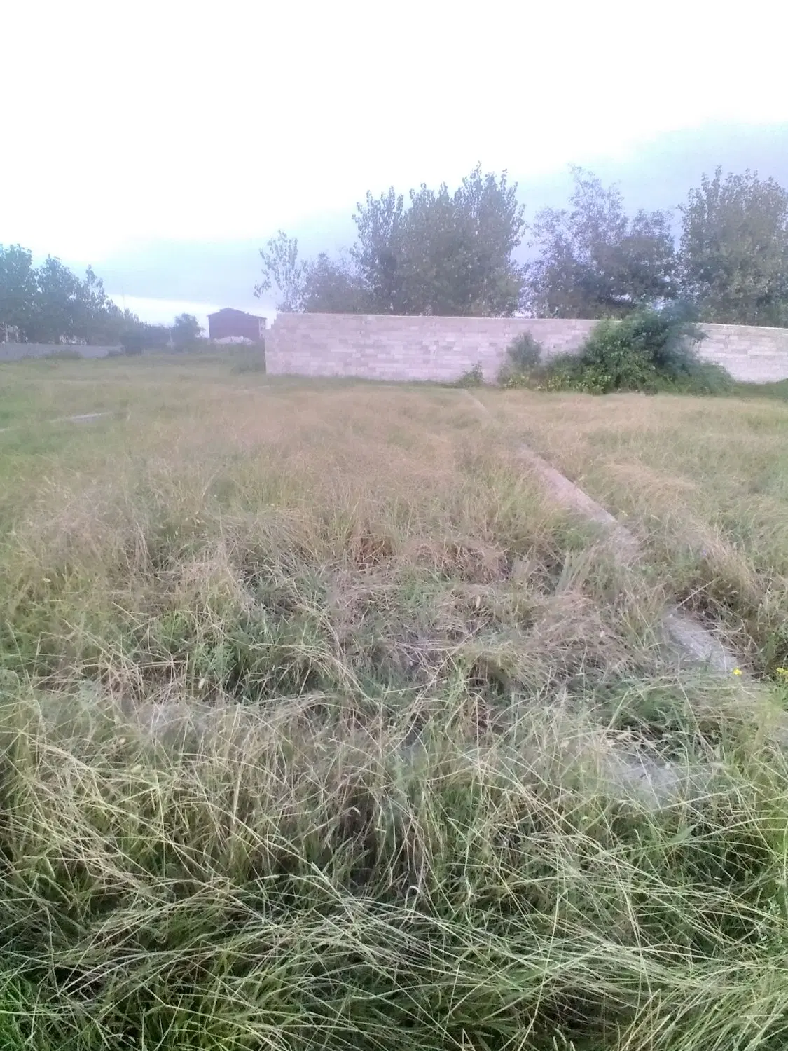 تصویر املاک 134320
