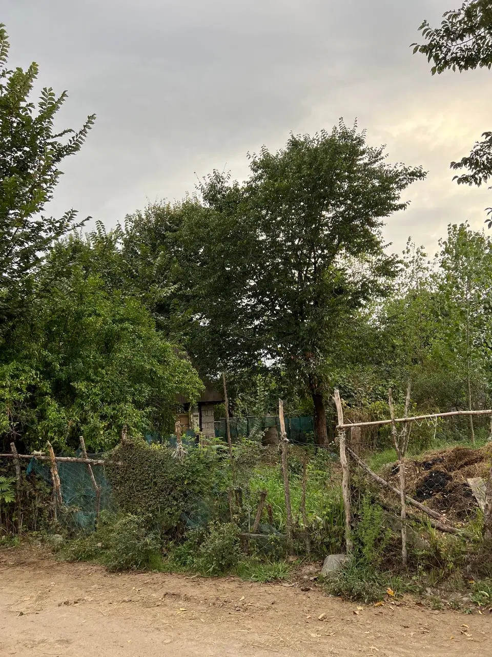 تصویر املاک 107043