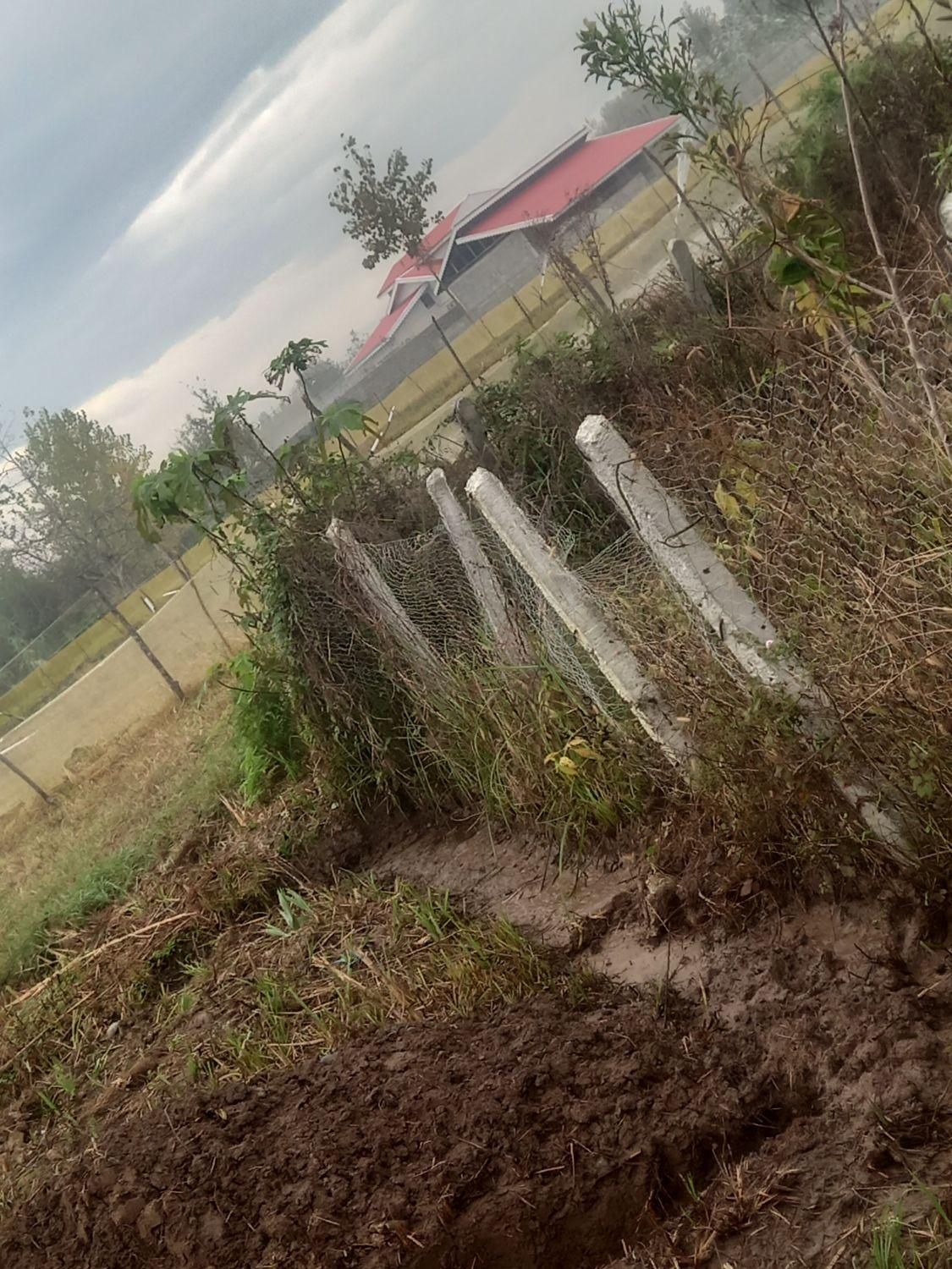 تصویر املاک 22650