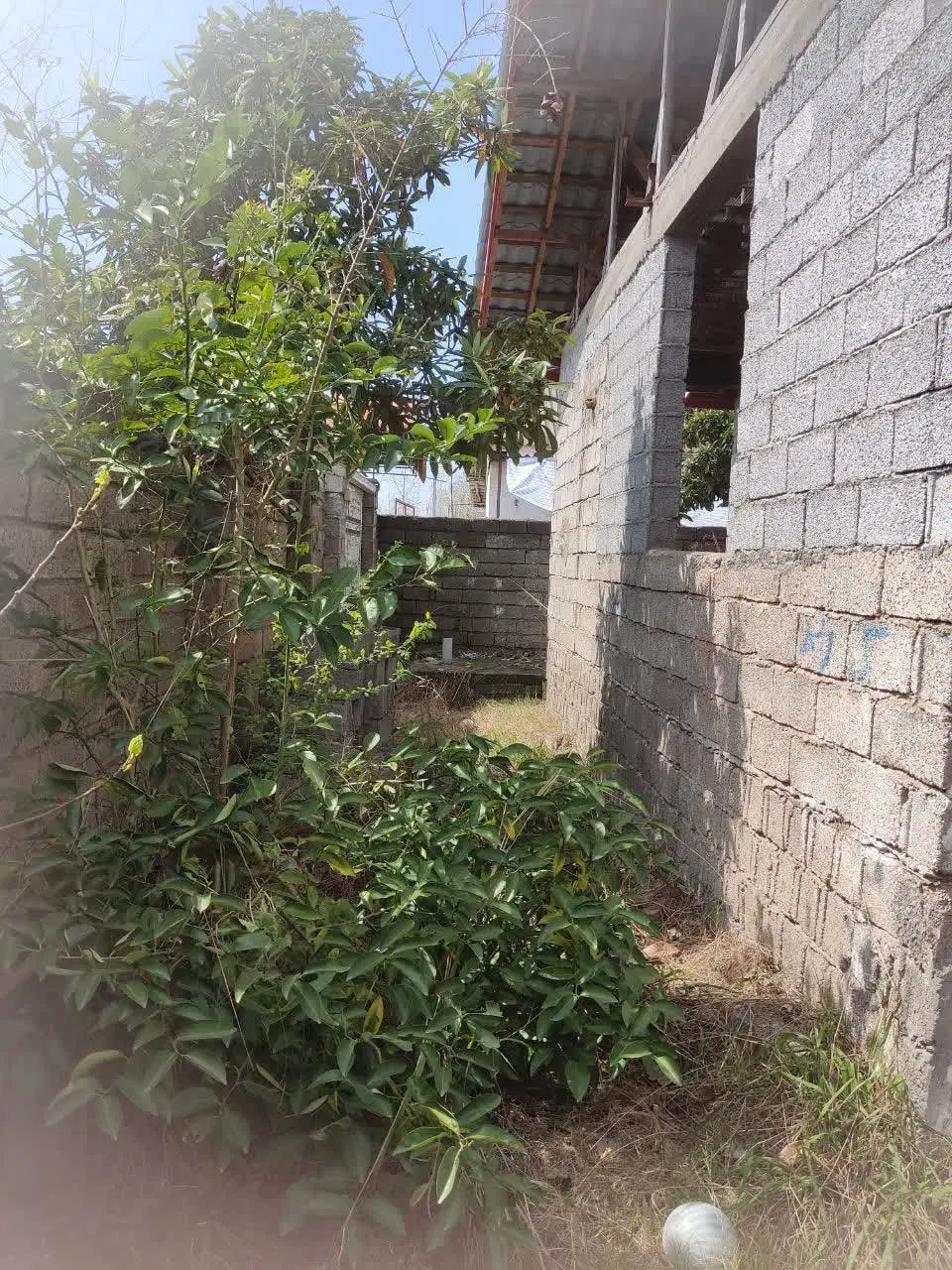 تصویر املاک 134100