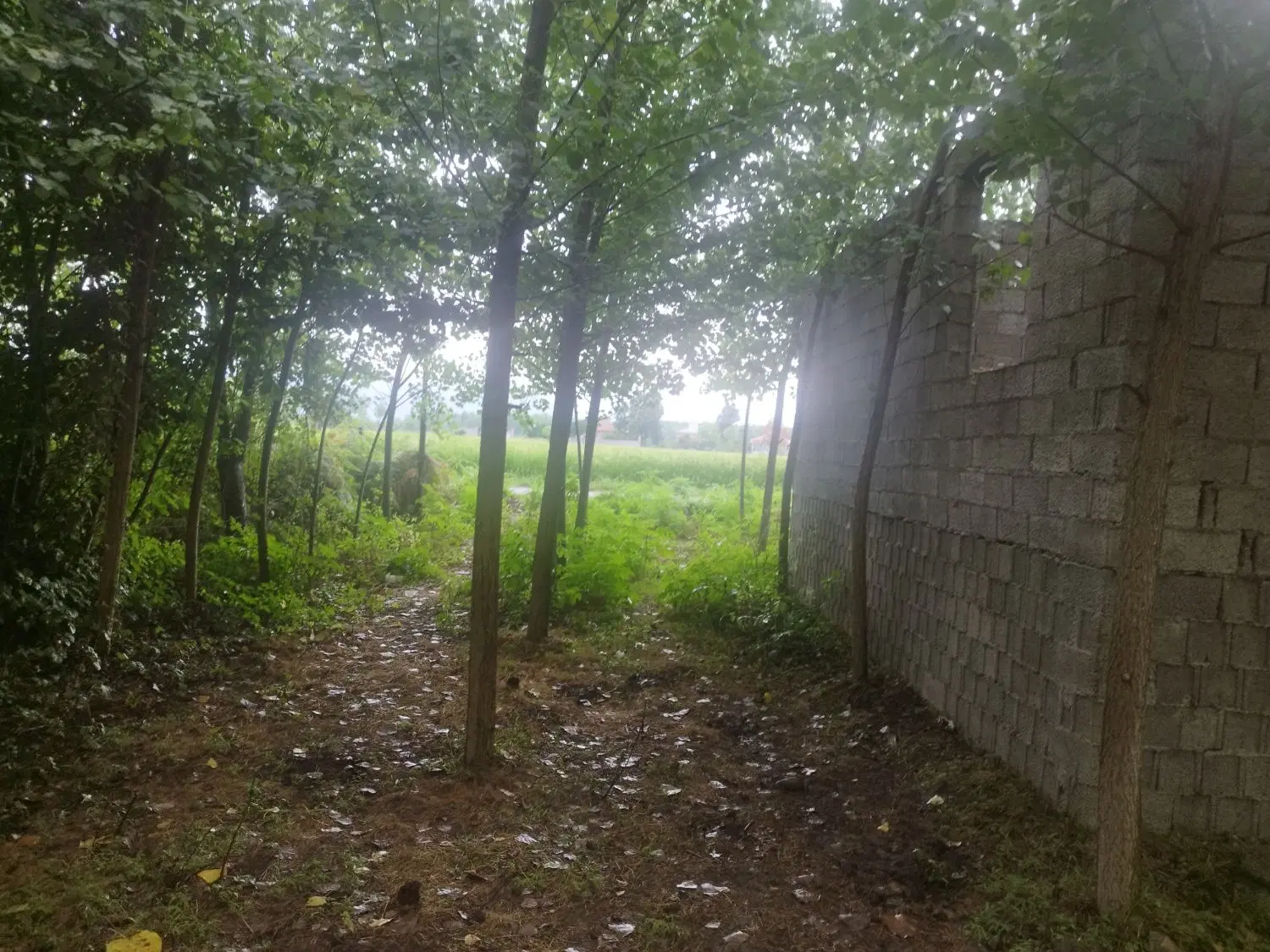تصویر املاک 134078