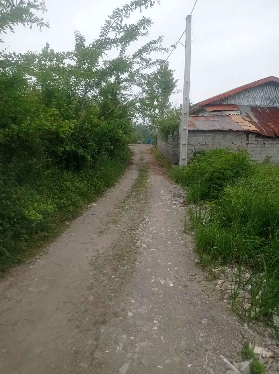 تصویر املاک 109523
