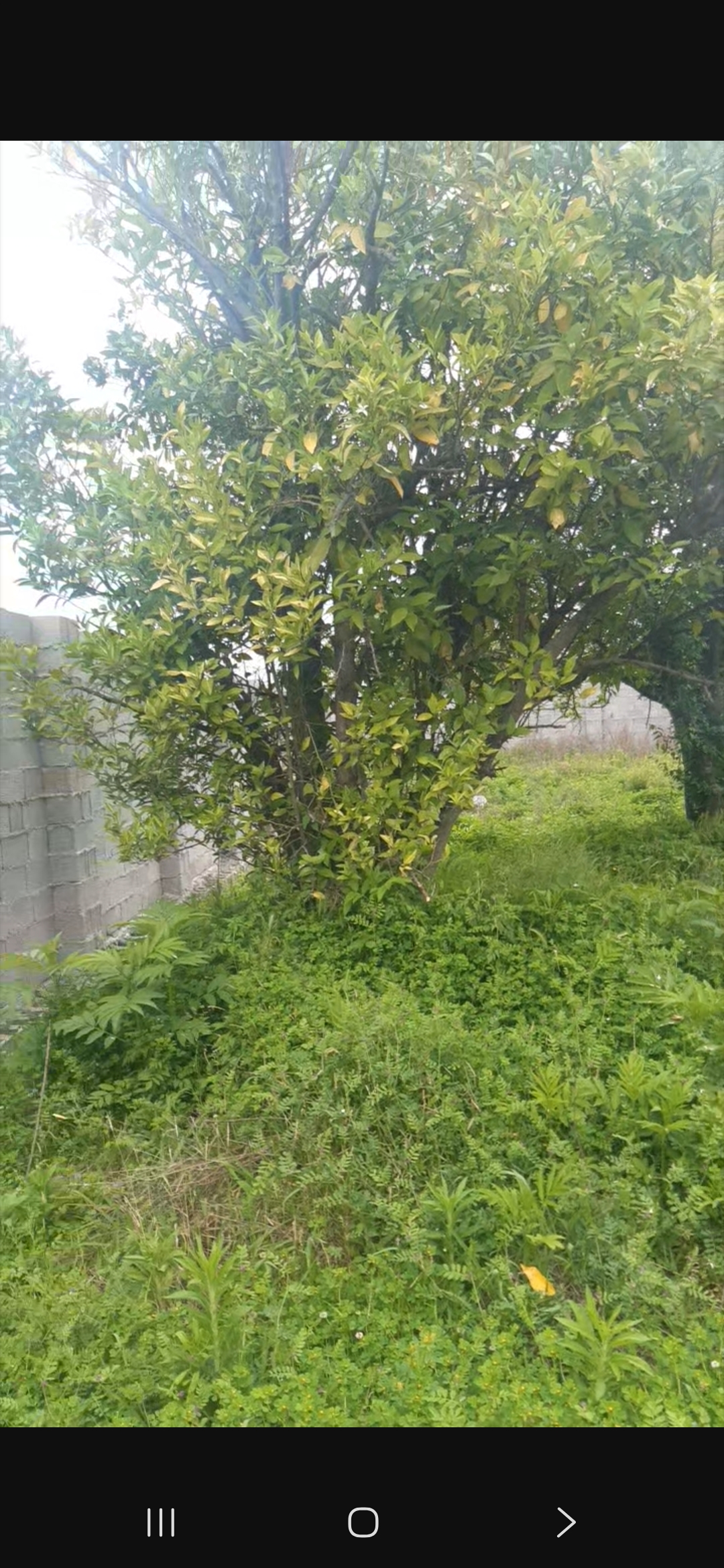 تصویر املاک 121899