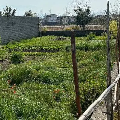 تصویر املاک 93727