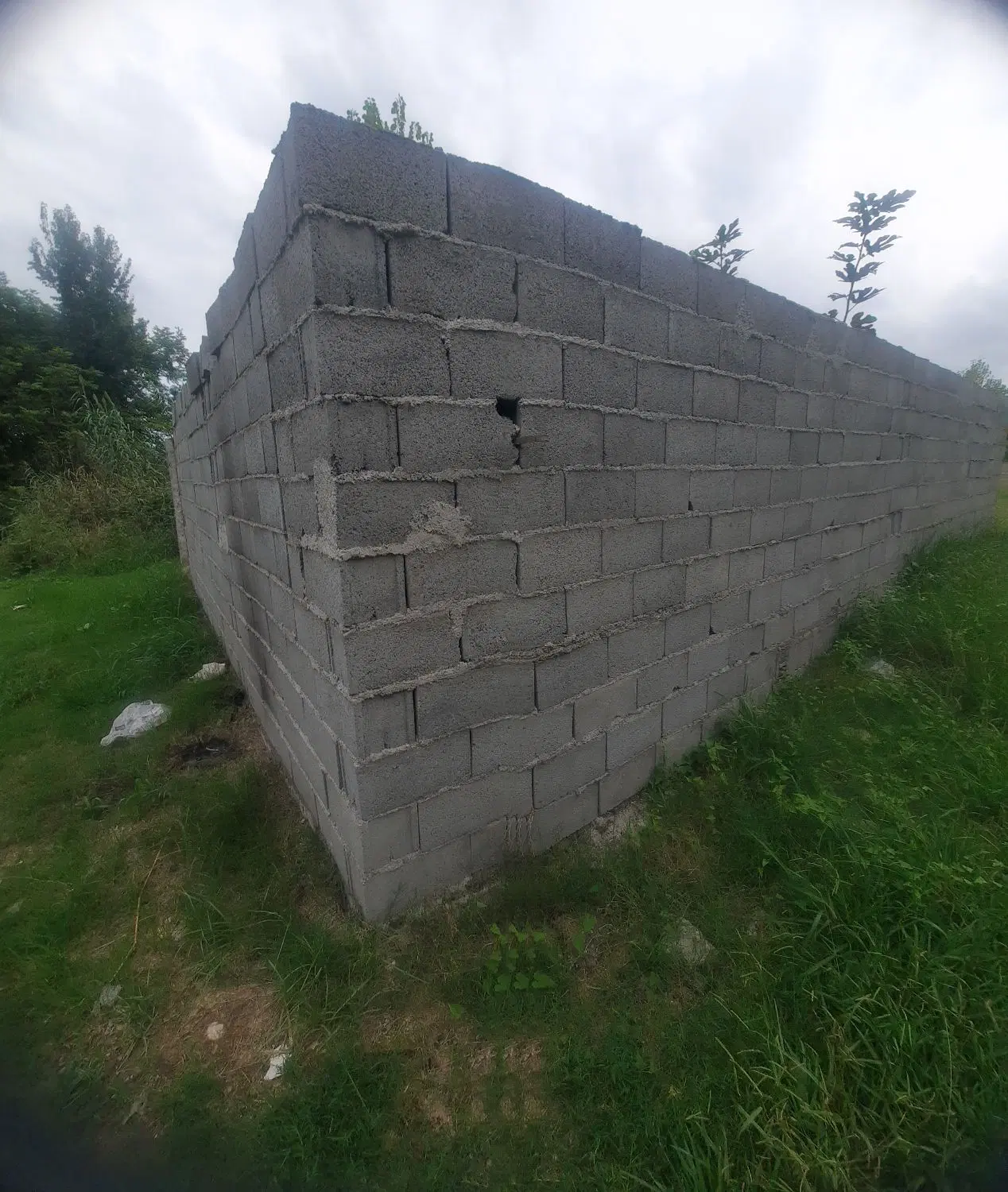 تصویر املاک 124127