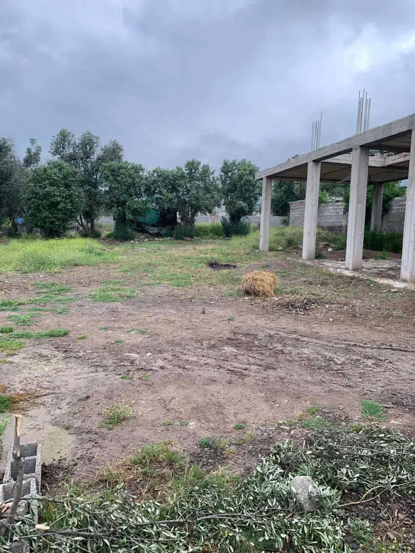 تصویر املاک 4867