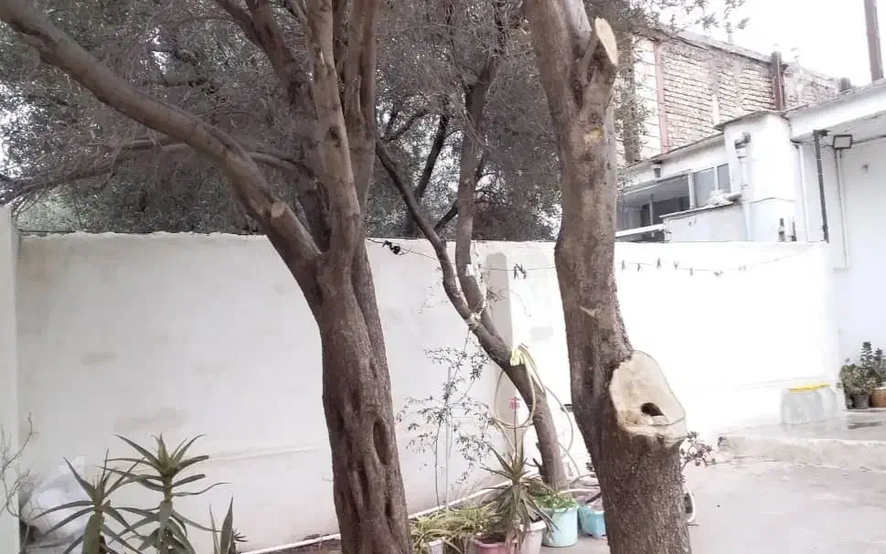 تصویر املاک 8589